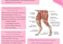 make presentations and posters